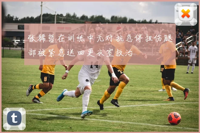 张稀哲在训练中无对抗急停扭伤腿部被紧急送回更衣室救治