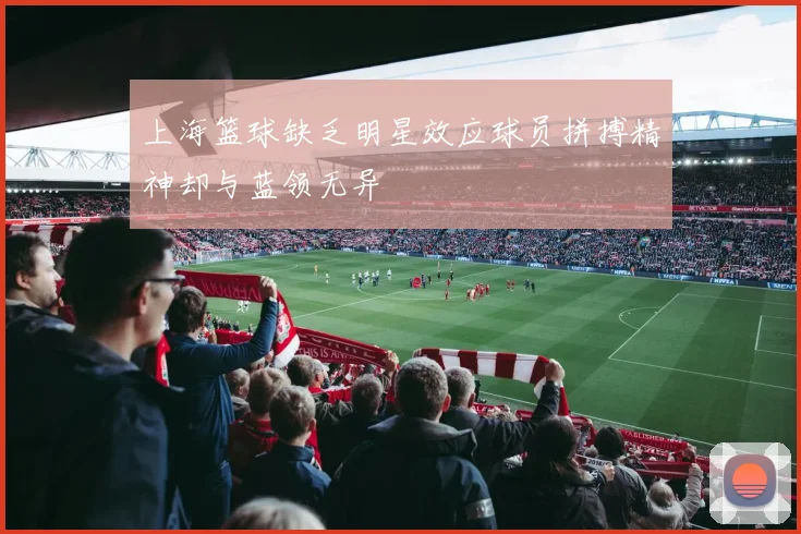 上海篮球缺乏明星效应球员拼搏精神却与蓝领无异