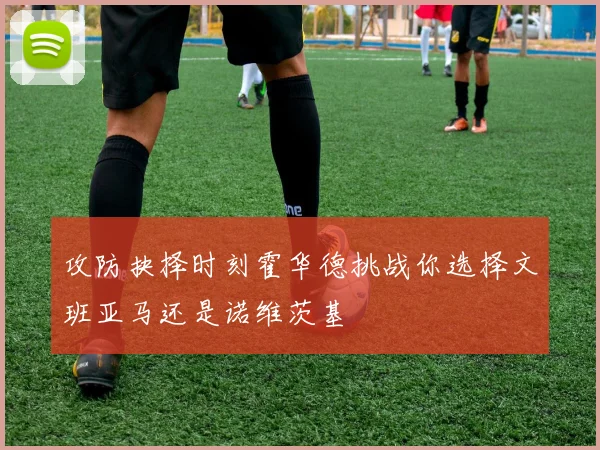 攻防抉择时刻霍华德挑战你选择文班亚马还是诺维茨基